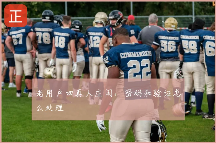 老用户回真人庄闲，密码和验证怎么处理